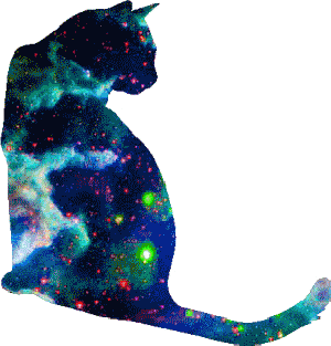 星座 nebula 猫 彩色迷踪