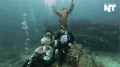 雕塑  潜水 主题  水下婚礼