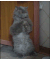 猫 冷静下来 鼓掌 无聊