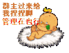 群主 快来给我 捏捏脚 我给你红包