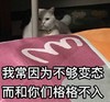 萌宠 猫星人 我常因为不够变态 和你们格格不入 呆萌 可爱