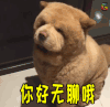 萌宠 拒绝 你好无聊哦 soogif soogif出品