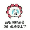 我明明那么萌为什么还要上学 金馆长 哭泣 流眼泪 花瓣
