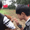 ​​​​易烊千玺 动物 爱心 抚摸
