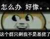 惊恐 瞪大眼 害怕 这个群只剩我不是基佬了