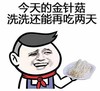 今天的金针菇洗洗还能再吃两天 金馆长 盘子 红领巾