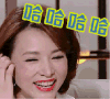 哈哈哈 董卿