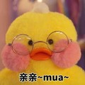 鹦鹉兄弟 可爱 呆萌 斗图 亲亲mua