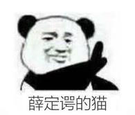 暴漫 文字表情包 薛定谔的猫 搞笑 逗 沙雕