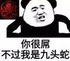 熊猫人 群员 巨头 你很屌不过我是九头蛇