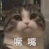 萌宠 喵星人 撅嘴 不开心 顽皮 可爱