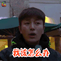 我该怎么办 花样男团 贾乃亮 蒙圈 soogif soogif出品