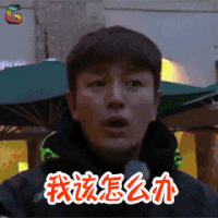 我该怎么办 花样男团 贾乃亮 蒙圈 soogif soogif出品