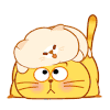 猫咪 搞笑 可爱 萌萌哒 搞笑 挠痒 磨蹭