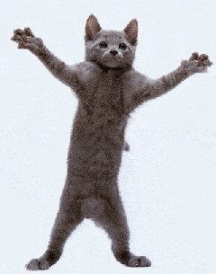 猫 跳舞 伸手 尬舞