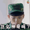soogif soogif出品 春风十里不如你 这么神奇吗 搞怪
