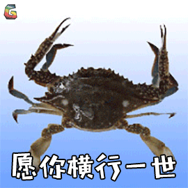 螃蟹 愿你横行一世 归来仍是少年 搞怪 蟹蟹 谢谢 soogif soogif出品
