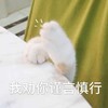 萌宠 猫星人 我劝你谨言慎行 警告 呆萌 可爱