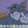 猫和老鼠 猫和老鼠表情包 汤姆 杰瑞 汤姆猫 杰瑞鼠