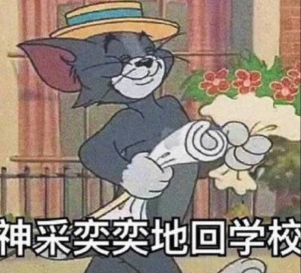 猫和老鼠 可爱 搞笑 开学 卡通表情包
