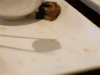 搞笑 搞怪 逗乐 美食