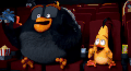 愤怒的小鸟 Angry Birds movie 伙伴 新奇 哇塞
