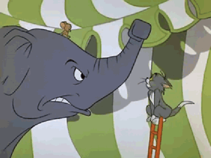 动漫 童年 汤姆和小杰 大象