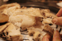 食物 美食 美味 吃货 诱人 素材