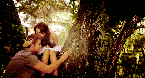森林 情侣 亲热 拥吻