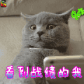 王者荣耀 soogif soogif出品 看到战绩的我