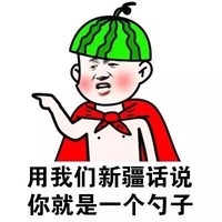 金管长 西瓜皮 用我们新疆话说 你就是一个勺子