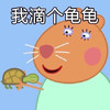 卡通 乌龟 红脸蛋 我滴个龟龟