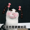 沙雕图 搞笑 沙雕表情包 今日沙雕