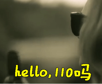 hello 110吗 Adele 110