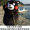 熊本熊  河水 小船儿 你欠我的两百块钱