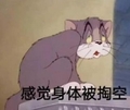 感觉身体被掏空 猫咪 可爱 猫和老鼠 摔