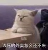 萌宠 猫星人 该死的外卖怎么还不来 咕咕 熬夜 搞怪 逗