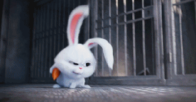 小白兔 萌宠 可爱 开门