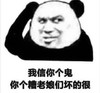 熊猫头 暴漫表情包 我信你个鬼你个糟老娘们坏得很 搞怪 逗 沙雕