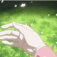 手掌 花瓣 风景 二次元
