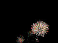 烟花 绽放 黑夜 夜晚