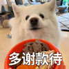 萌宠 汪星人 多谢款待 非常感谢你的招待 憨憨 可爱