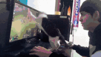 萌宠 猫 可爱 英雄联盟