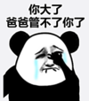 暴漫 文字表情包 你大了爸爸管不了你了 搞笑 逗 沙雕