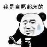 熊猫人 自愿起床 搞怪 暴漫