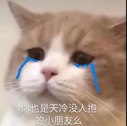 萌宠 猫星人 你也是天冷没人抱的小朋友吗 可怜 呆萌 可爱