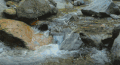 石头 水 流动 颜色