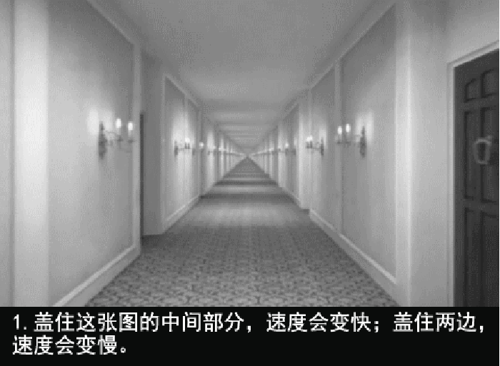 走廊 房间 魔性 催眠