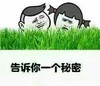 告诉你 一个秘密 斗图 搞笑 猥琐
