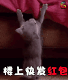 喵星人 楼上快发红包 红包 萌宠soogif soogif出品